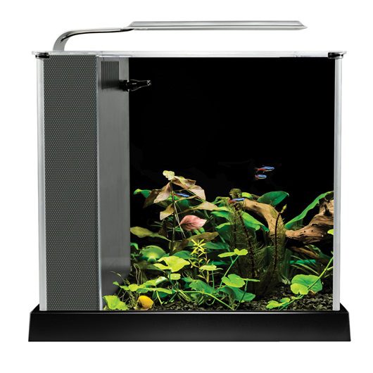 Fluval SPEC Equipped Aquarium, Black, 10 L (2.6 US gal)
