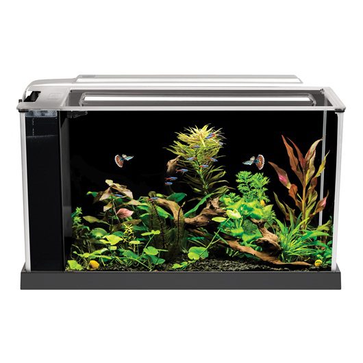 Fluval SPEC Equipped Aquarium, Black, 19 L (5 US gal)