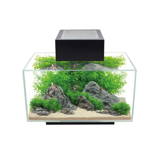 Fluval Edge Equipped Aquarium, Black, 23 L (6 US gal)