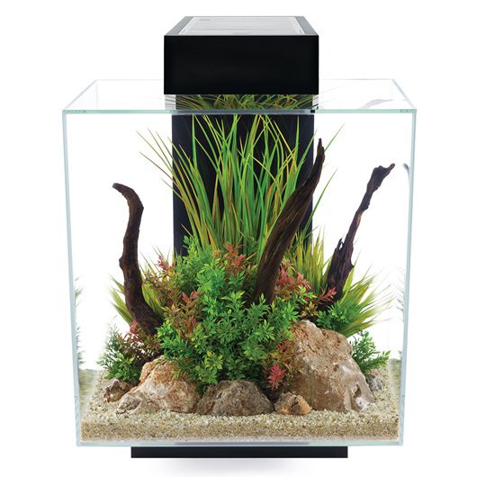 Fluval Edge Equipped Aquarium, Black, 46 L (12 US gal)