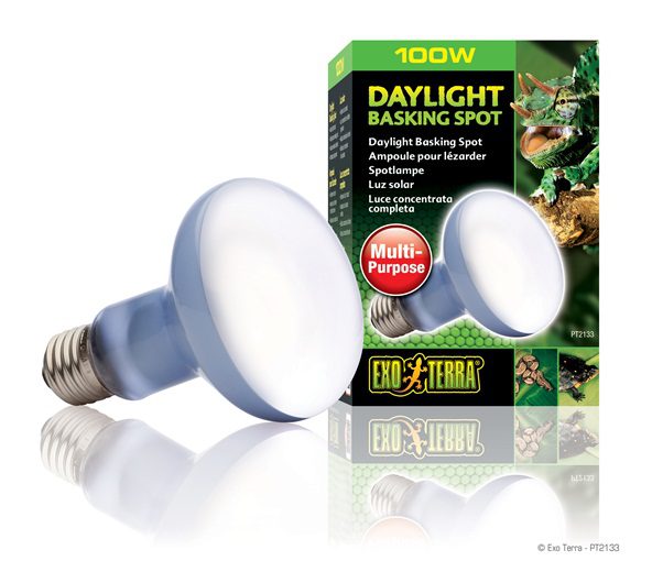 Exo Terra Daylight Basking Bulb - R25 - 100W