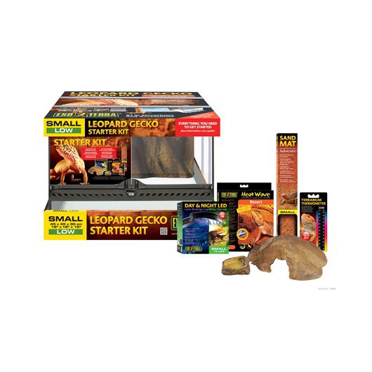 Habitat équipé Exo Terra de luxe pour gecko léopard